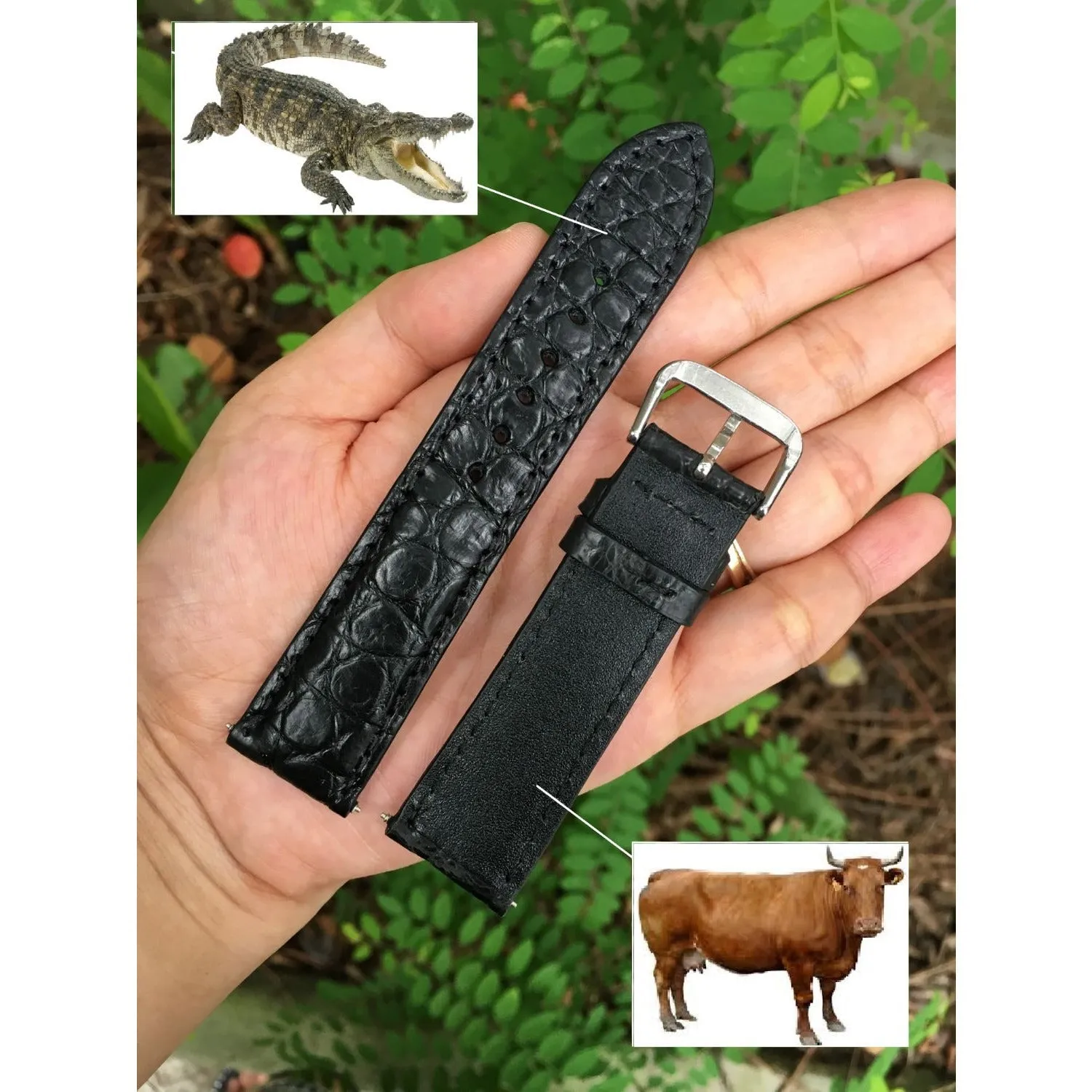 Black Hornback Alligator Leather Watch Band | Crocodile Quick Release Replacement Strap | DH-47