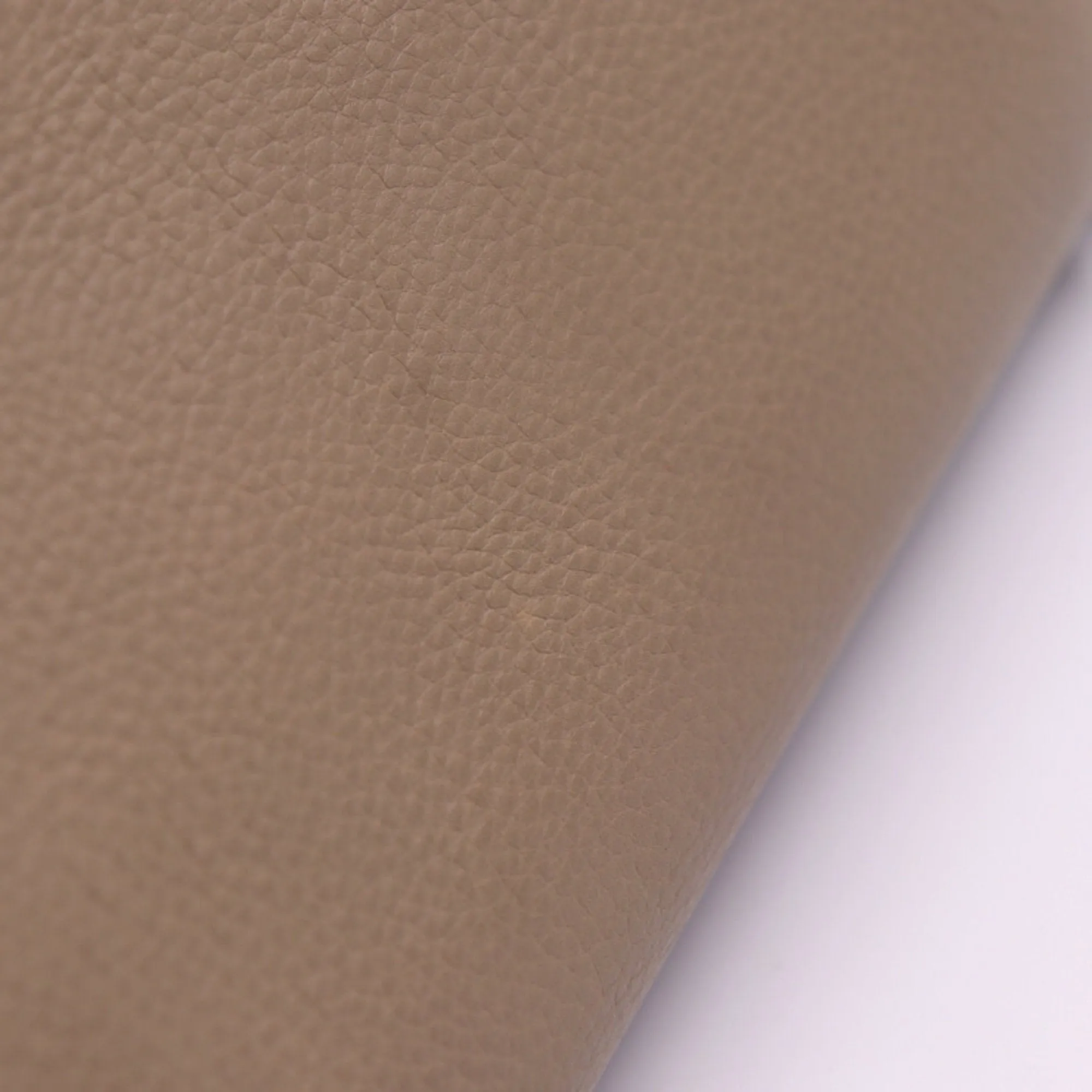 Céline Luggage Phantom