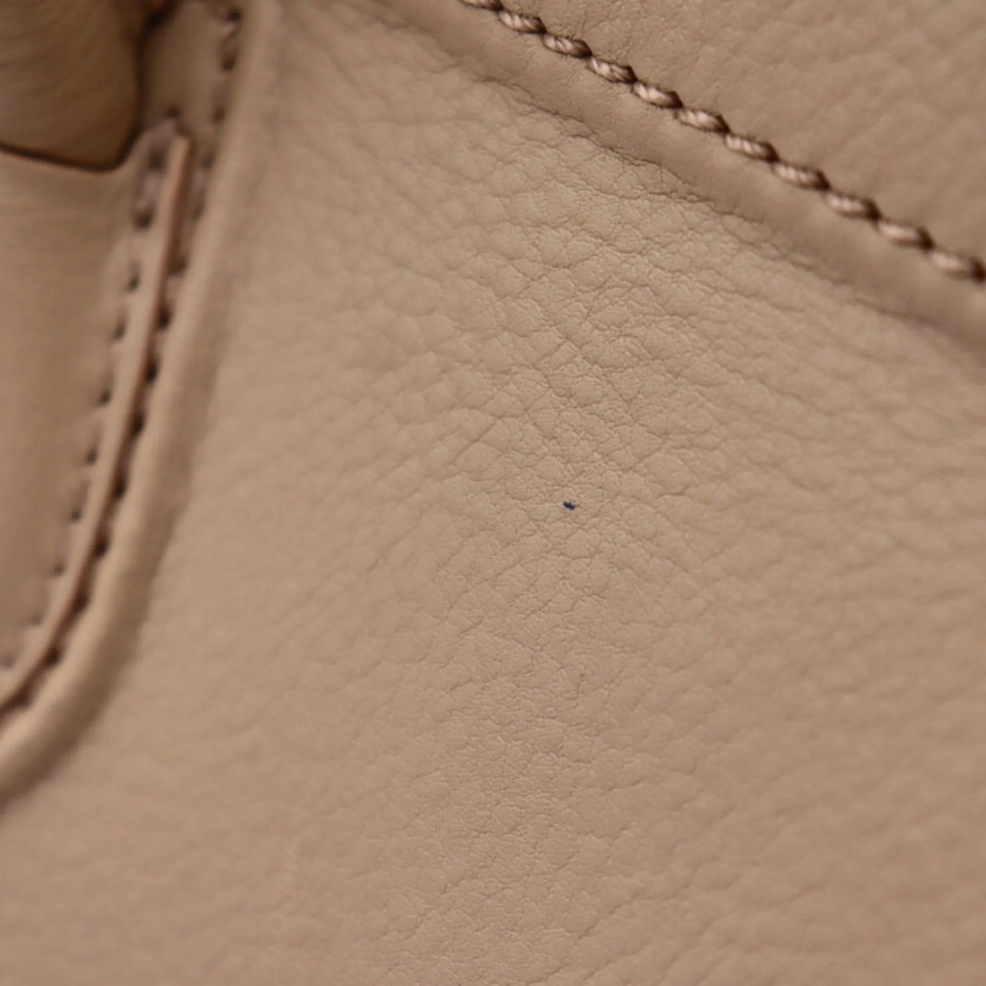 Céline Luggage Phantom